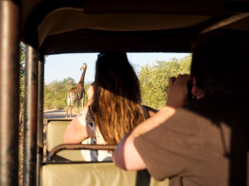 From Johannesburg: 3-Day Budget Kruger National Park Safari - Sunset and Night Game Drives