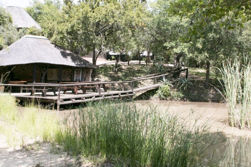 From Johannesburg: 3-Day Budget Kruger National Park Safari - Breakfast and Full-Day Safari