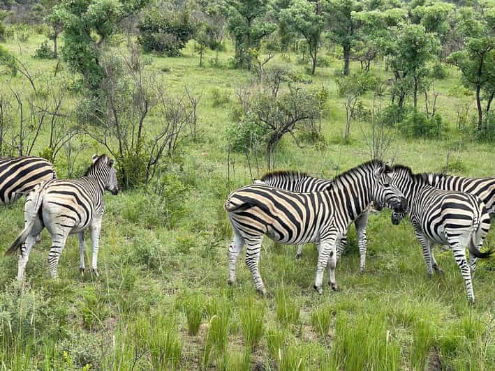 From Johannesburg : 3 Day Kruger Safari and Panorama Tour - Good To Know