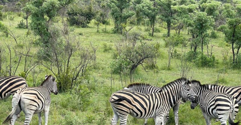 From Johannesburg : 3 Day Kruger Safari and Panorama Tour - Exploring the Panorama Route