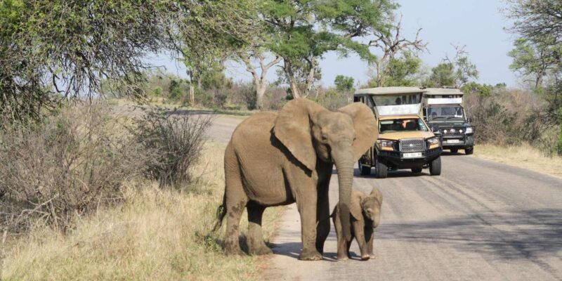 From Johannesburg : 3 Day Kruger Safari and Panorama Tour - Tour Overview and Duration