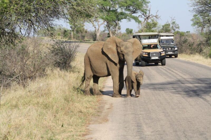 From Johannesburg: Kruger 4 Days Safari - Kruger National Park Exploration