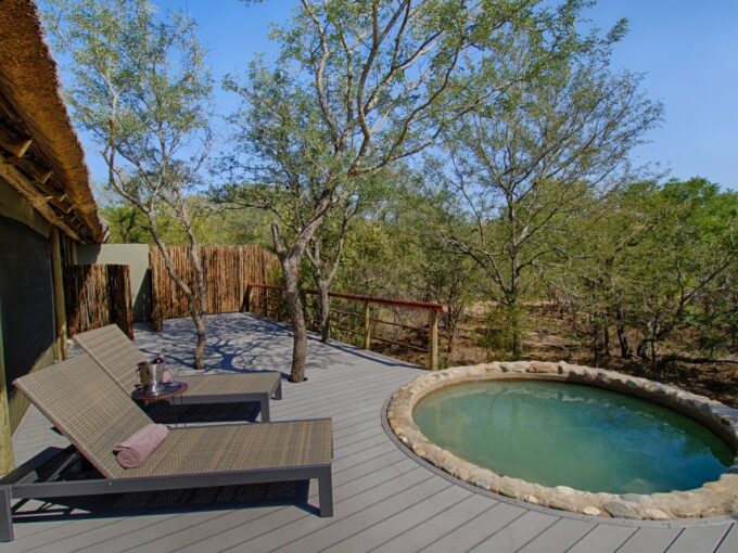 From Johannesburg: Kruger National Park 4-Day Luxury Safari - Preparing for the Safari