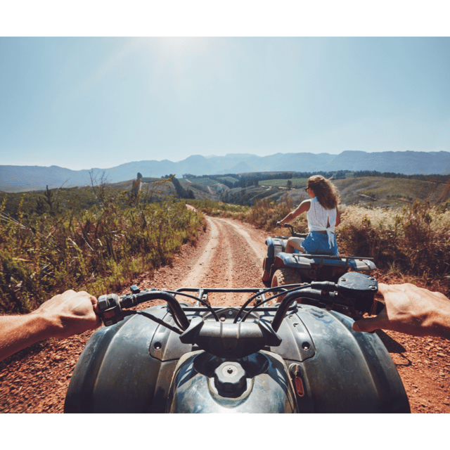 From Johannesburg: North West Safari and Quad Biking Tour - Key Points