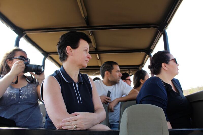 From Johannesburg: Pilanesberg Nature Reserve Game Safari - Key Points