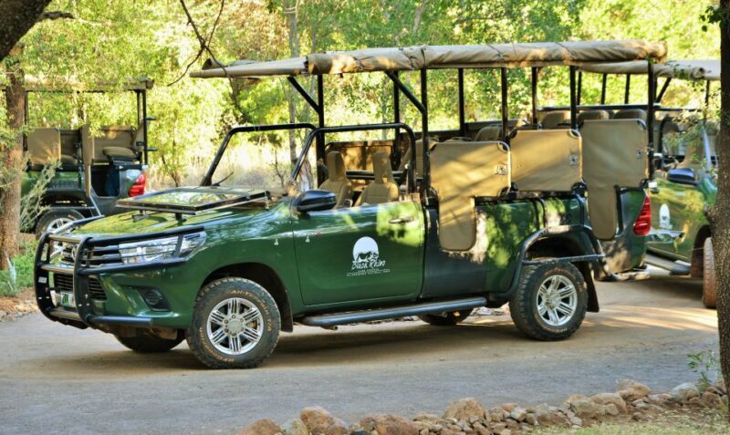 From Johannesburg: Pilanesberg Nature Reserve Game Safari - Authentic Encounters and Practical Tips