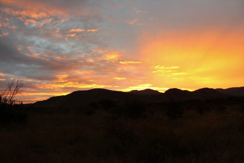 From Johannesburg: Pilanesberg Nature Reserve Game Safari - Itinerary Details