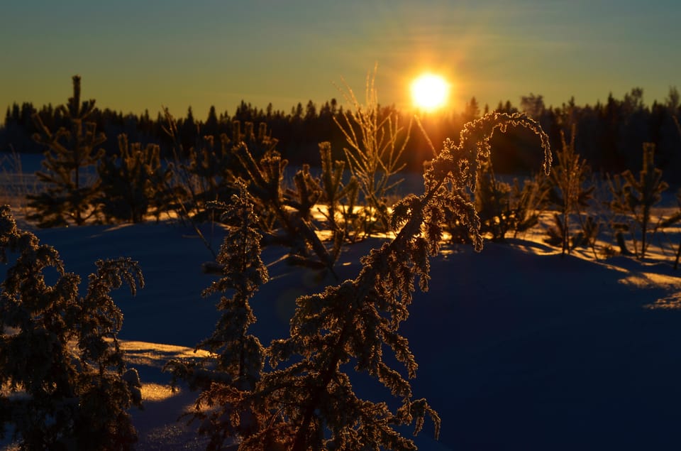 From Jokkmokk: The Great Rapids National Park - Introduction: What to Expect from This Wild Adventure