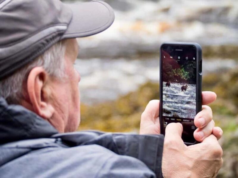 From Juneau: Exclusive Tongass Locally Guided Bear Viewing - The Sum Up