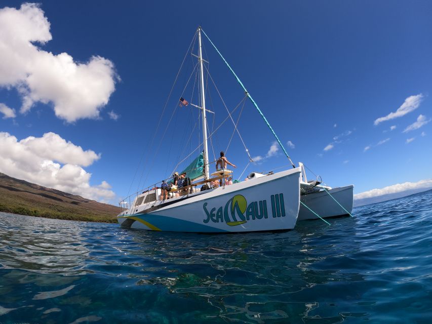 From Kaanapali Beach: West Maui Half-Day Snorkel Adventure - Key Points