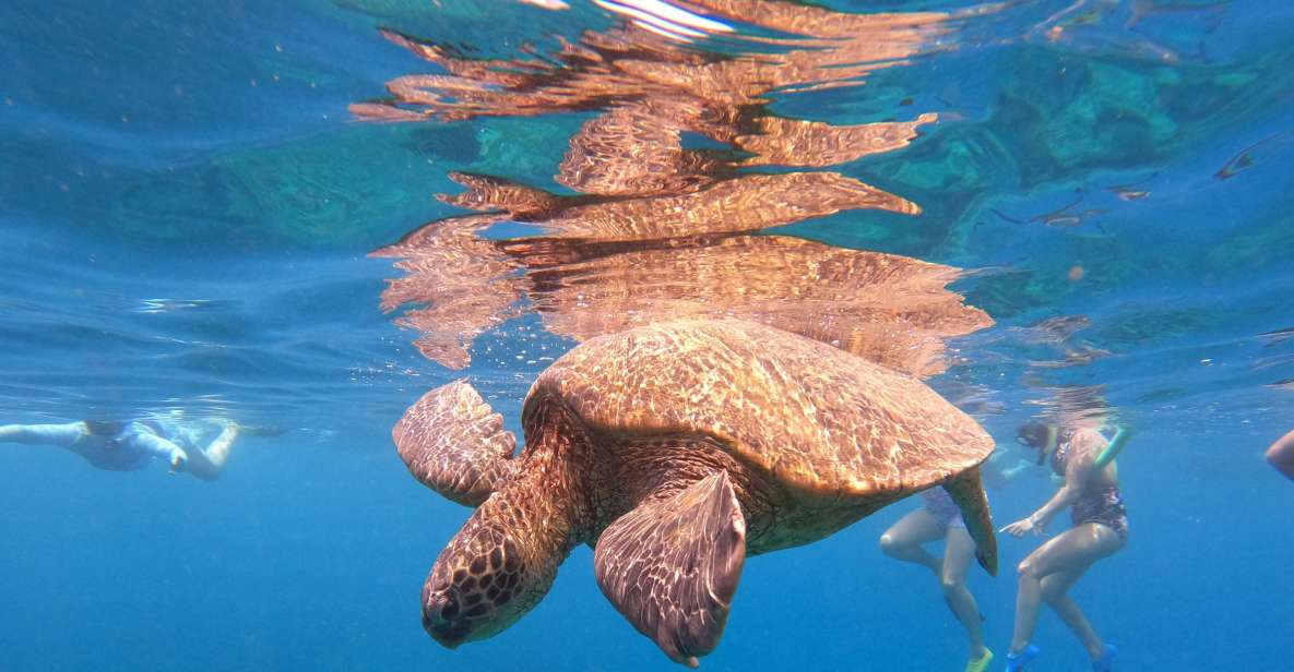 From Kaanapali Beach: West Maui Half-Day Snorkel Adventure - Inclusions and Amenities