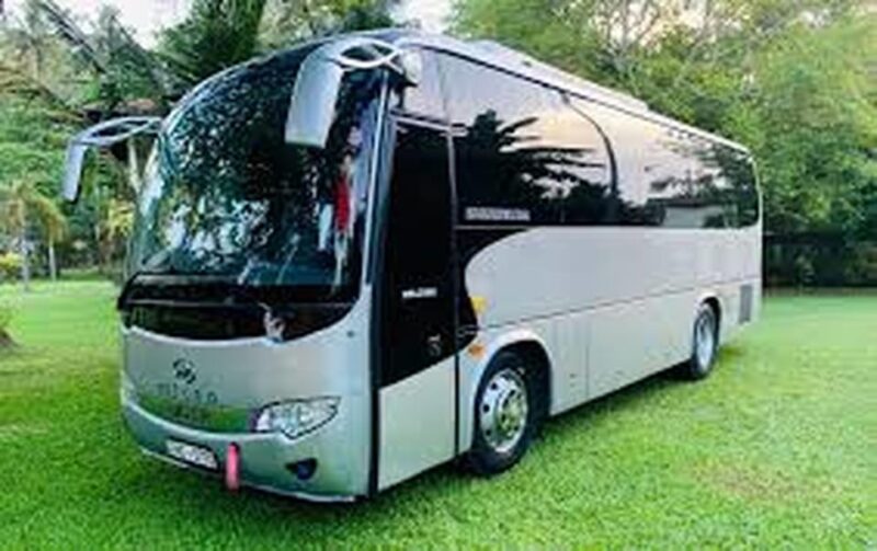 From Kalametiya/Ekkassa/Waduruppuwa To Ella Private Transfer - Driver Experience and Support