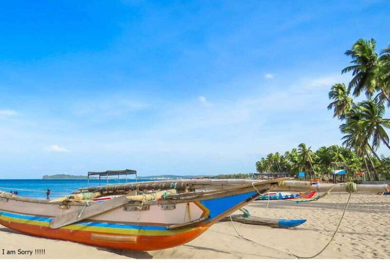From Kalutara:Exclusive Galle Dutch Fort & Madu River Safari - Who Will Love This Tour?