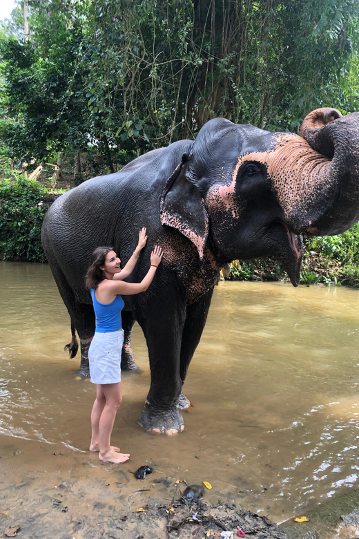 From Kaluthara/Wadduwa : Kandy Privet Full Day Tour - Itinerary Highlights