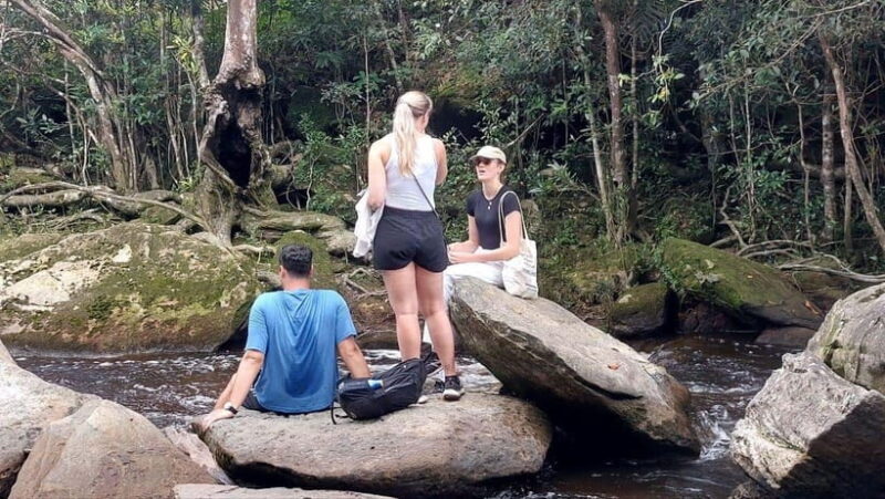 From Kampot: Bokor National Park Scenic Tour - Deep Dive Into the Itinerary