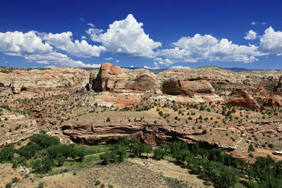 From Kanab: Grand Staircase-Escalante Drive & Hike Tour - Overview of the Tour