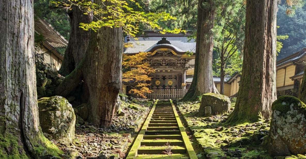 From Kanazawa: Eiheiji Buddhist Temple & Fukui Castle Town - Fukui Castle Town