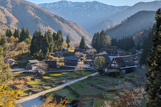 From Kanazawa: Shirakawa-go, Gokayama and Wood Carving Village - Exploring the Wood Carving Village