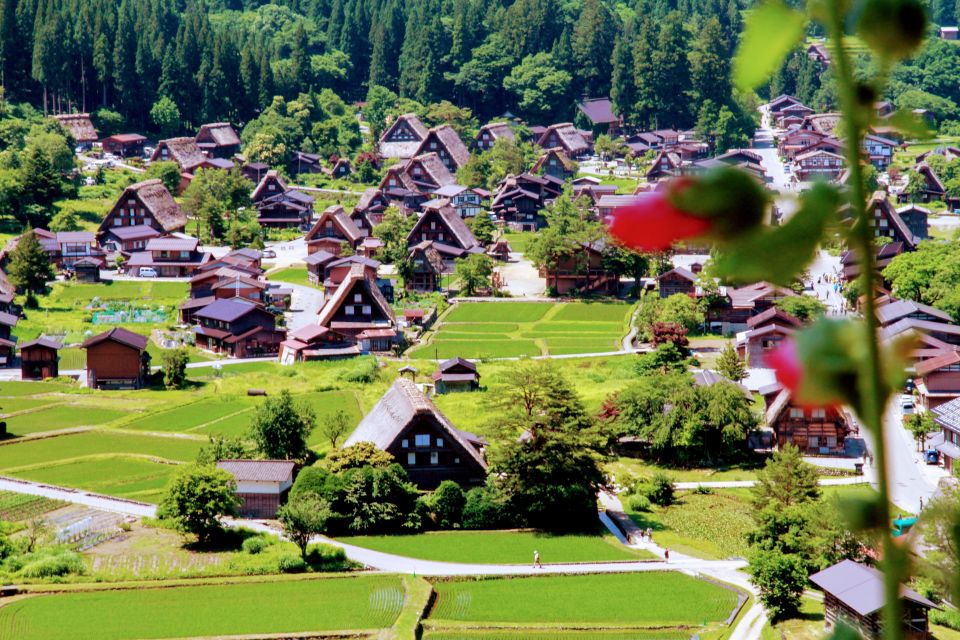 From Kanazawa: Shirakawago, Hida-Furukawa and Takayama Visit - Takayama: Preserved History