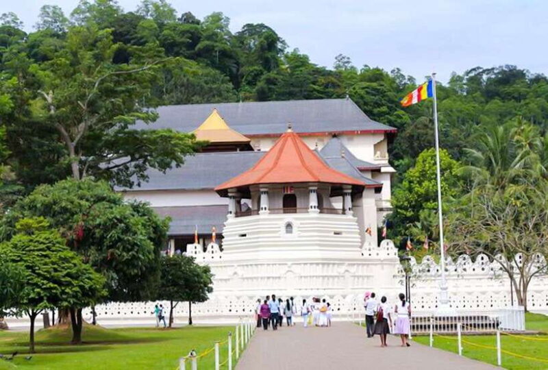 From Kandy: All Inclusive Full-Day Tour in Kandy - Private - A Deep Dive into the Tour Experience