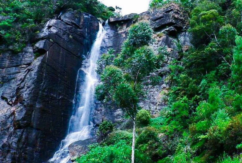 From Kandy: All Inclusive Nuwara Eliya Day Tour with Lunch - Key Points