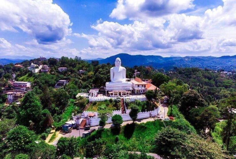 From Kandy: Full Day tour in Kandy with Ambuluwawa Tower - Pricing and Value Considerations
