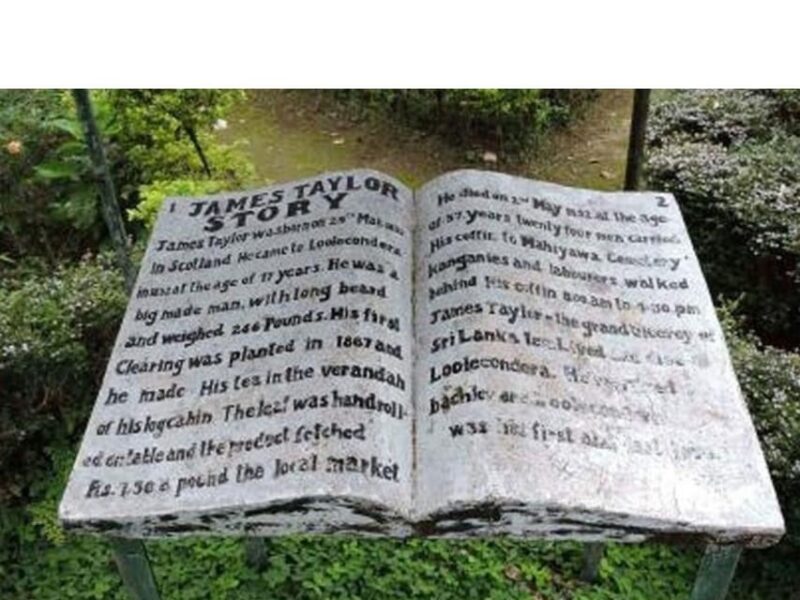 From Kandy: James Taylor's Tea Tour (The Tale of Ceylon Tea) - Itinerary Highlights