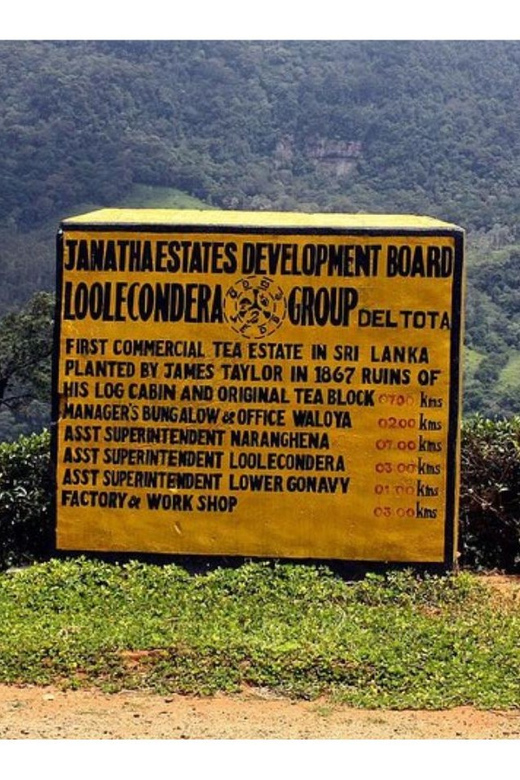 From Kandy: James Taylor's Tea Tour (The Tale of Ceylon Tea) - Reservation Details