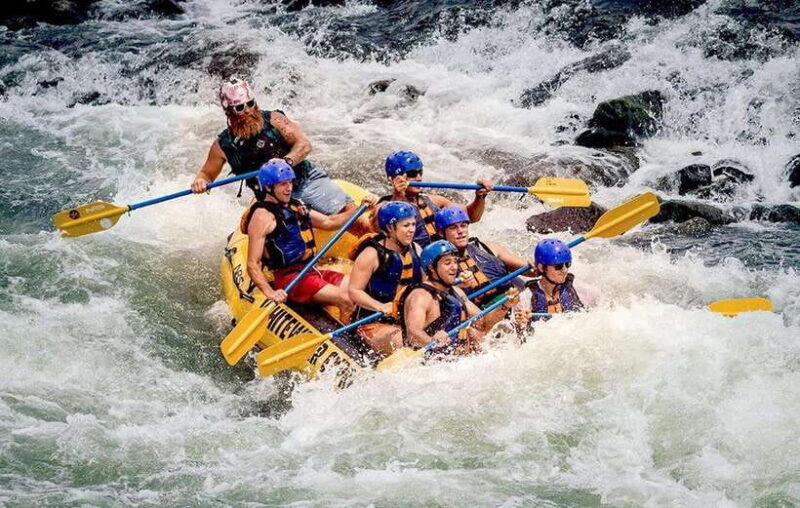 From Kandy: Kelani River White Water Rafting Day Trip - The Sum Up