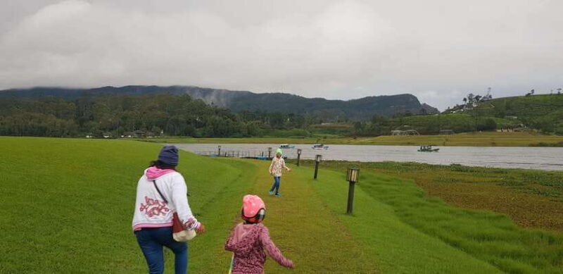 From Kandy: Nuwara Eliya Day Tour with Private Transfers - Key Points