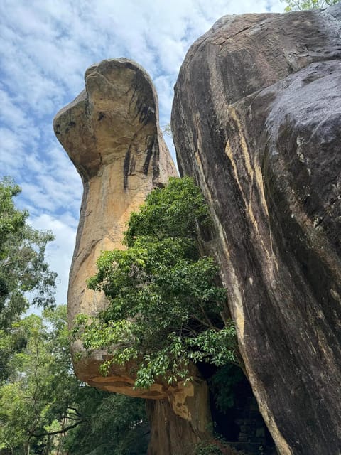 From Kandy: Pidurangala Rock and Minneriya National Park - Good To Know