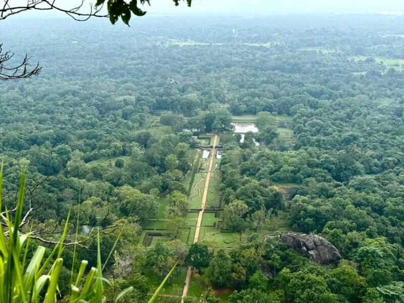 From Kandy: Pidurangala Rock and Minneriya National Park - Itinerary Highlights