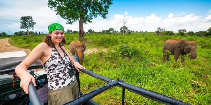 From Kandy: Pidurangala Rock and Minneriya National Park - Minneriya National Park Safari