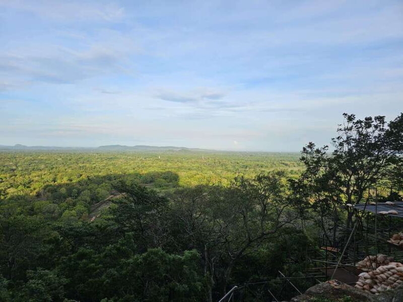 From Kandy: Sigiriya and Dambulla Day Trip - Final Thoughts