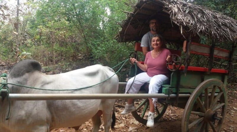 From Kandy: Sigiriya and Pidurangala Rock Tuk Tuk Safari - An In-Depth Look at the Tour