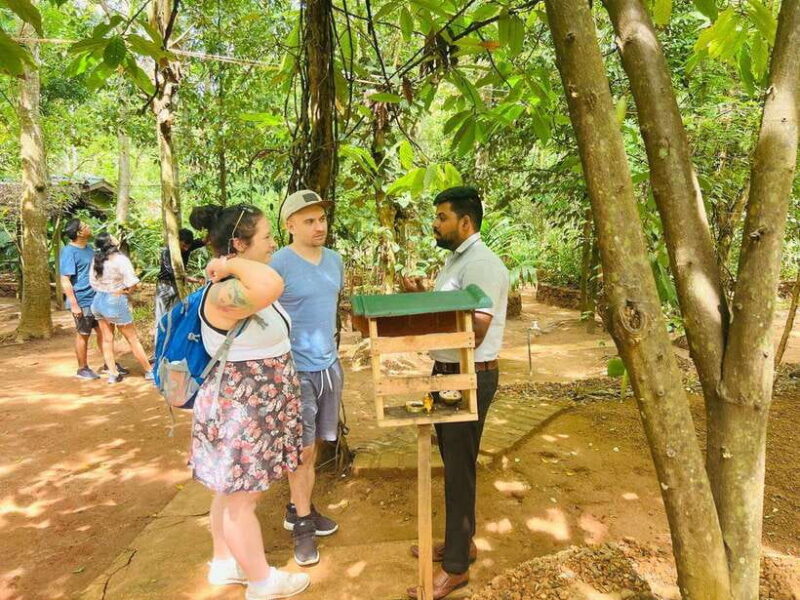 From Kandy: Sigiriya Day Tour with Elephant Safari(group) - Discovering the Sigiriya Day Tour from Kandy: An Authentic Sri Lankan Experience
