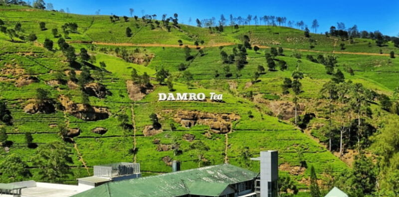 From Kandy: Tea Factory Tour with Ramboda Waterfall Visit - Who Will Love This Tour?