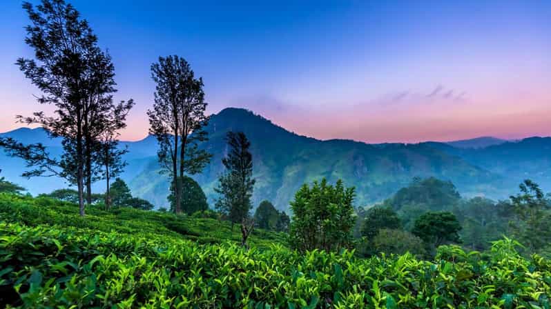 From Kandy to Nuwaraeliya or Nanu Oya Train Station Transfer - Good To Know