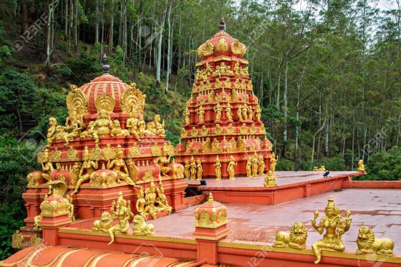 From Kandy to Nuwaraeliya or Nanu Oya Train Station Transfer - Itinerary and Highlights