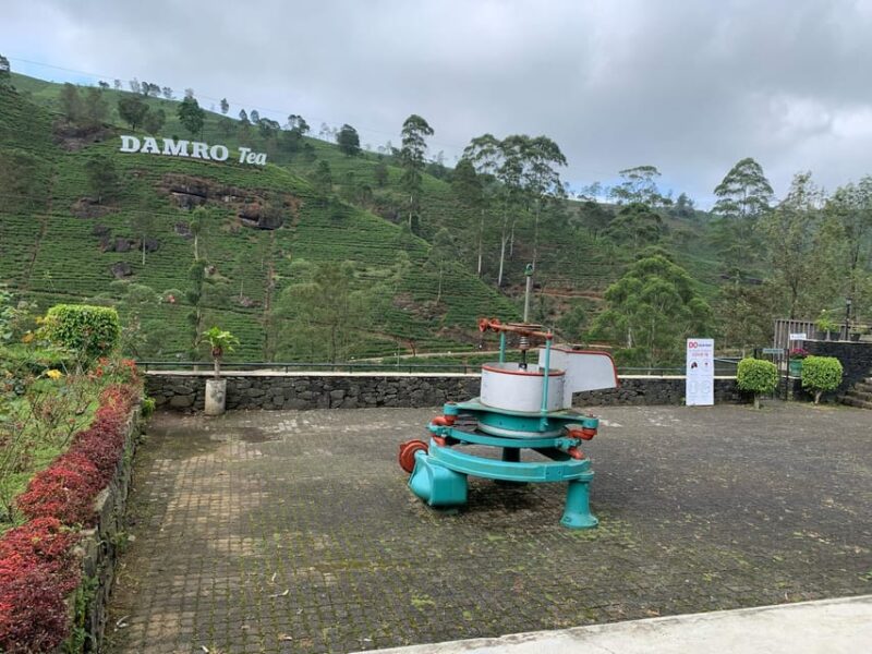From Kandy to Nuwaraeliya or Nanu Oya Train Station Transfer - Train Departure Time Requirement
