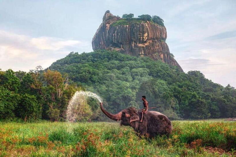 From : Kandy to Sigiriya Private Guide Tour by Tuk Tuk - Exploring the Itinerary: What Makes This Tour Special