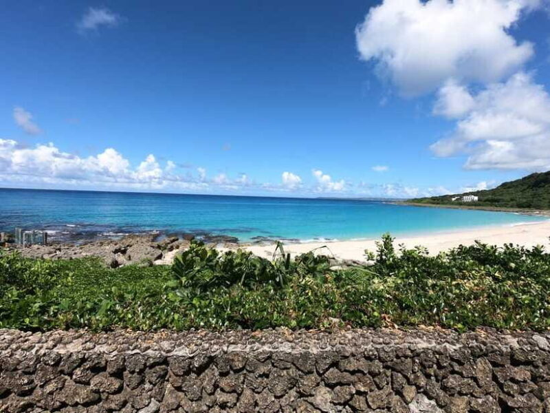 From Kaohsiung: Kenting & Ocean Coast Private Day Tour - Final Thoughts