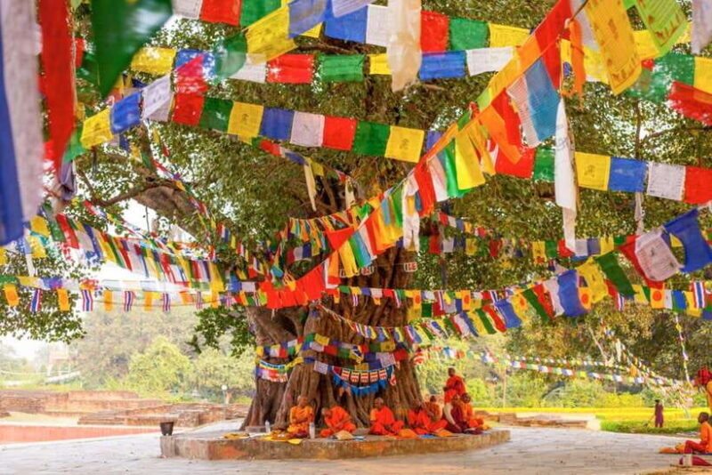 From Kathmandu: 1-Day Lumbini Tour by Airplane - The Experience: What You Can Expect
