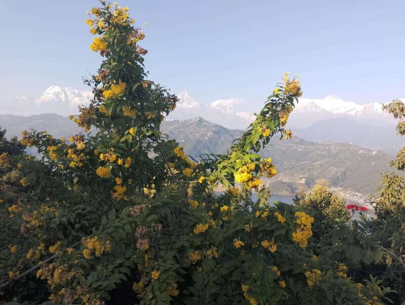 From Kathmandu: 10-Day Tour of Nepal with Accommodation - A Practical Overview of the 10-Day Nepal Tour