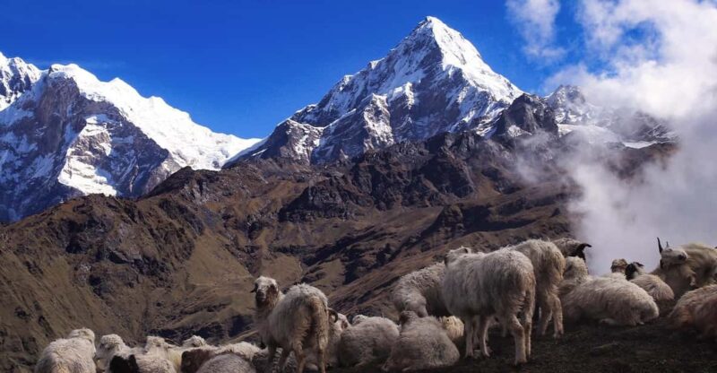 From Kathmandu: 12 Day Khopra Hill With Khair Lake Trek - Key Points