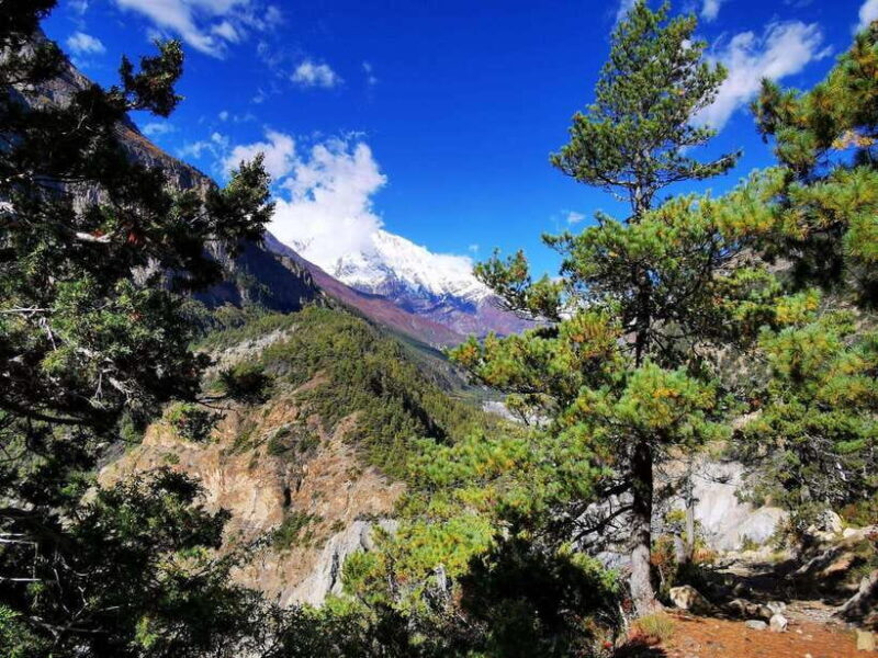 From Kathmandu: 12-Day Scenic Annapurna Circuit Trek - The Sum Up