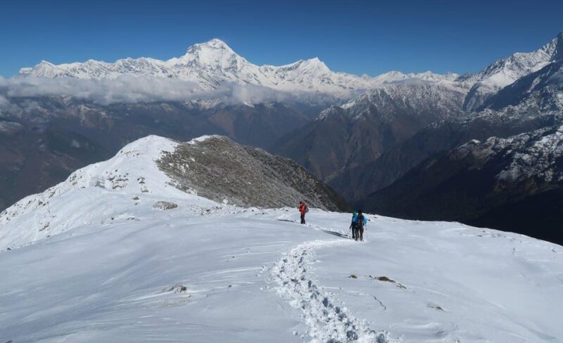 From Kathmandu: 14 Day Khopra Hill,Khayer Lake PoonHill Trek - Included Services