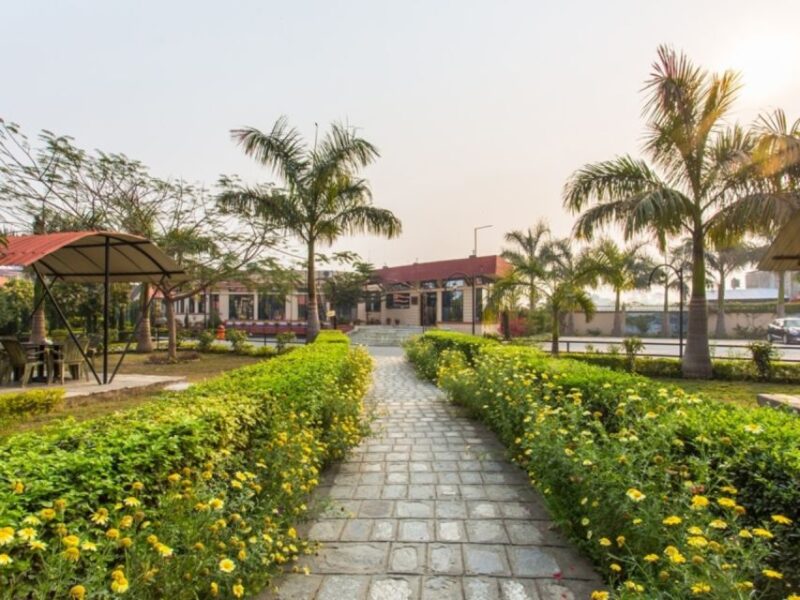 From Kathmandu: 3-Day Chitwan National Park & Elephants Tour - Accommodation Details