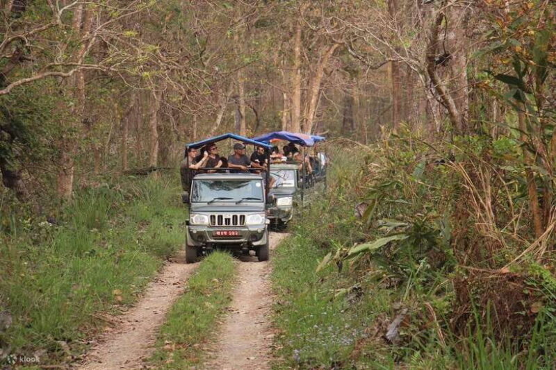 From Kathmandu: 3-Day Chitwan National Park Tour - Key Points