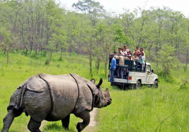 From Kathmandu: 3-Day Chitwan National Park Tour - An Honest Look at the 3-Day Chitwan Experience